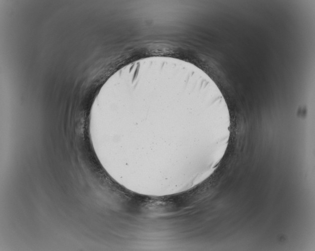 X0000113990315200911131124