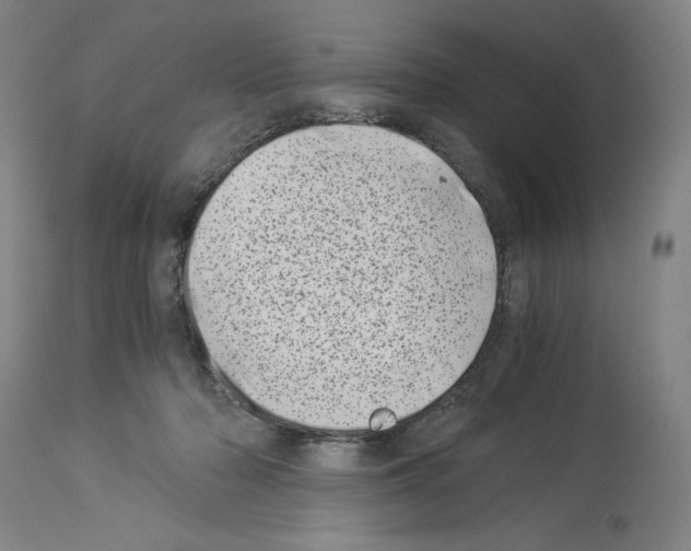 X0000113990318200911131124