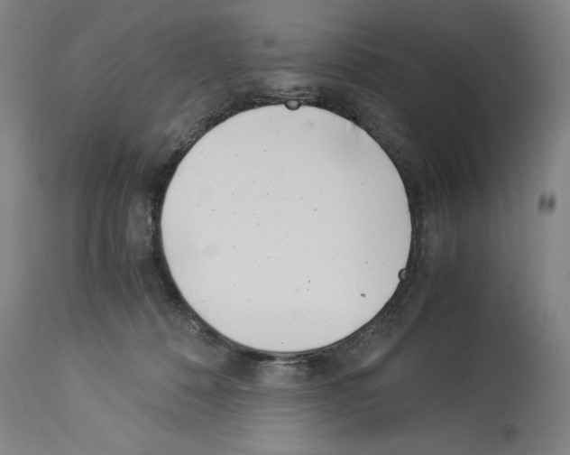 X0000113990320200911131123