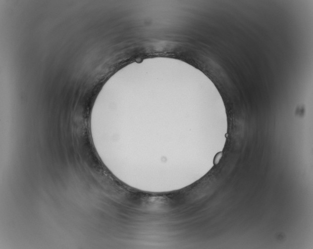 X0000113990324200911131123