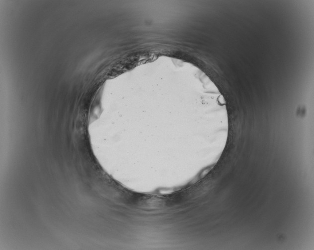 X0000113990325200911131123