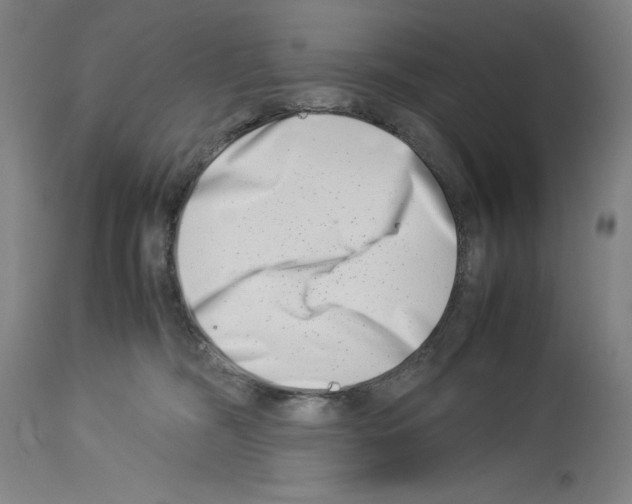 X0000113990326200911131123