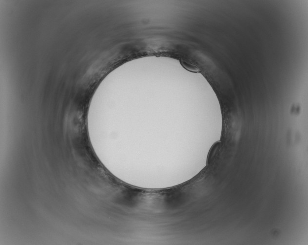 X0000113990327200911131123