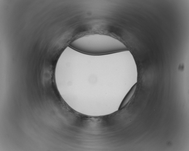 X0000113990328200911131123