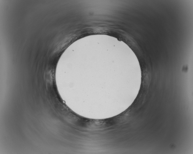 X0000113990329200911131123