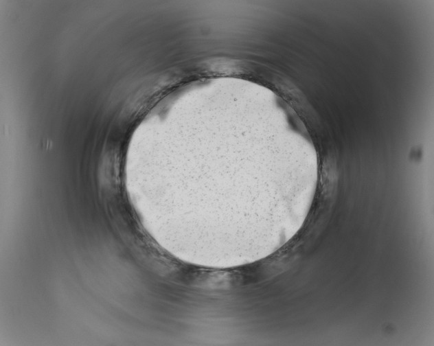 X0000113990330200911131123