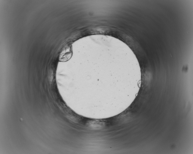 X0000113990331200911131123