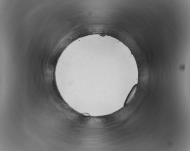 X0000113990332200911131123