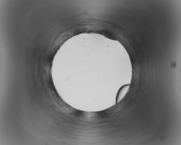 X0000113990333200911131123