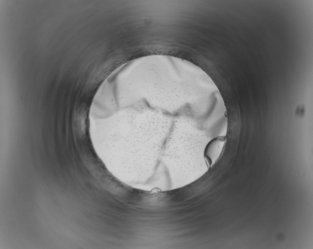 X0000113990334200911131123