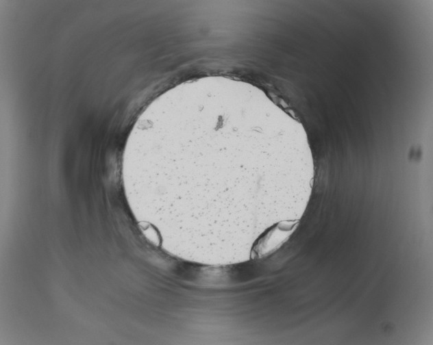 X0000113990335200911131123