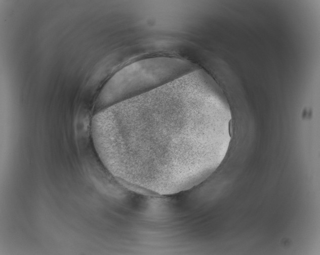 X0000113990336200911131123