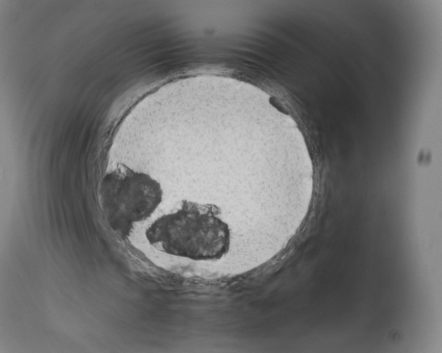 X0000113990337200911131123