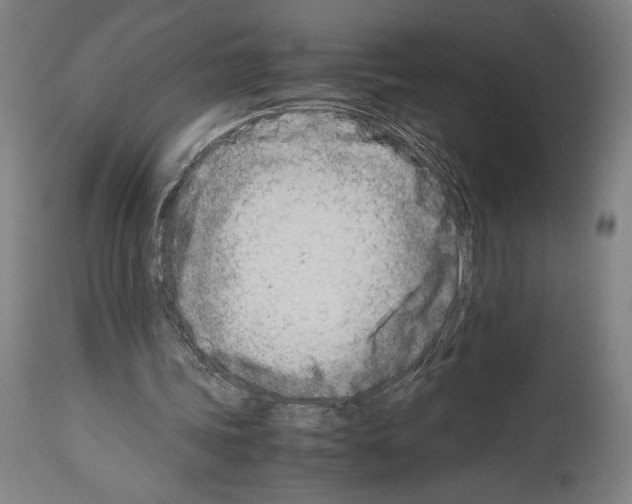 X0000113990339200911131123