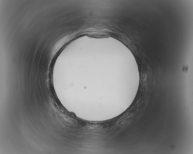 X0000113990340200911131123