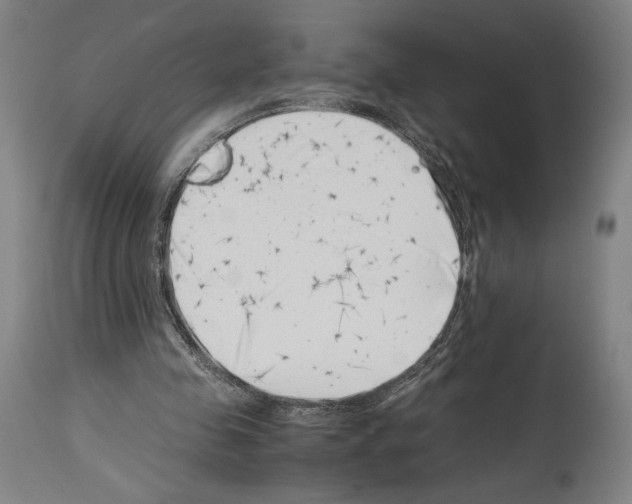 X0000113990341200911131123