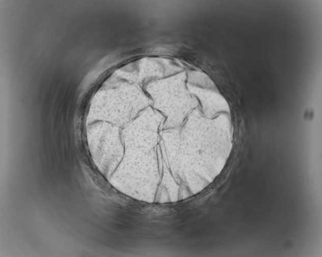 X0000113990343200911131123