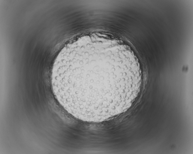 X0000113990345200911131123