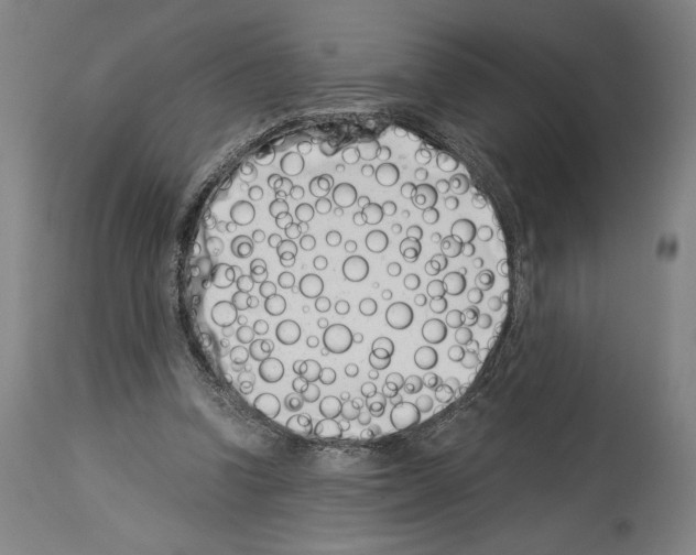 X0000113990346200911131123