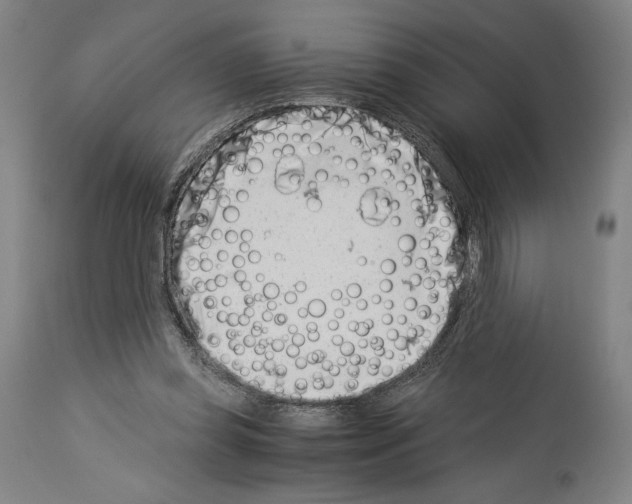 X0000113990349200911131123