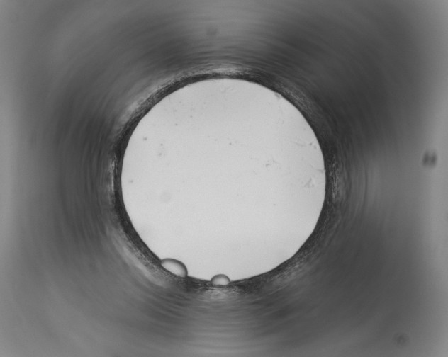 X0000113990350200911131123