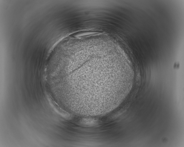 X0000113990351200911131123