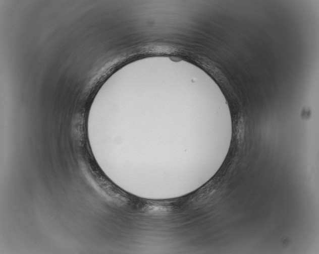 X0000113990352200911131123