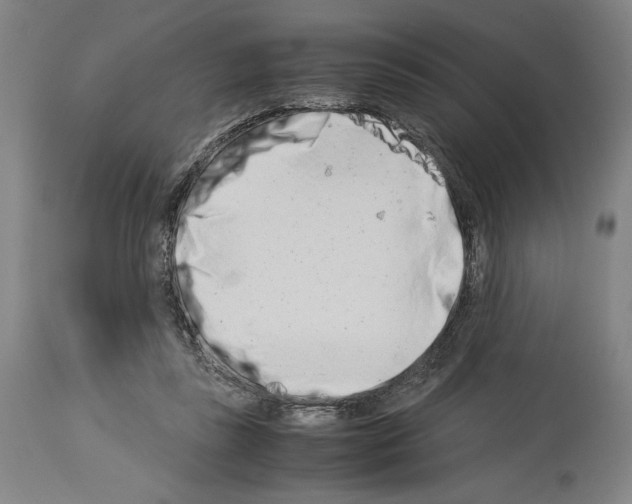 X0000113990355200911131123