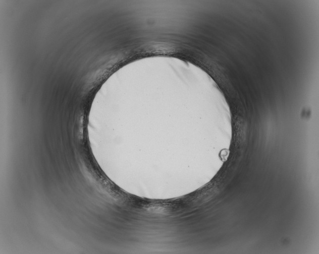 X0000113990358200911131123