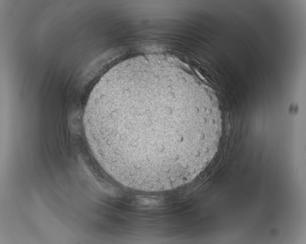 X0000113990359200911131123