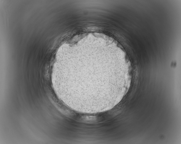 X0000113990361200911131123