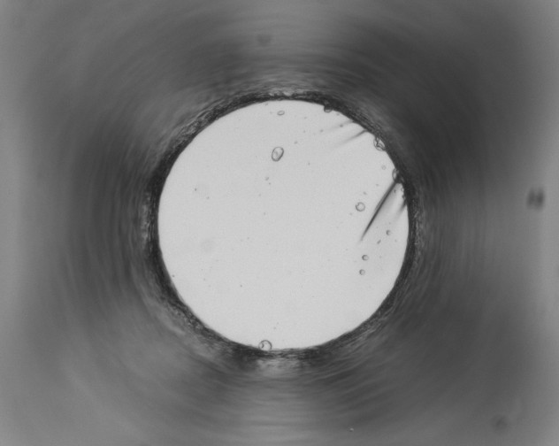 X0000113990362200911131123