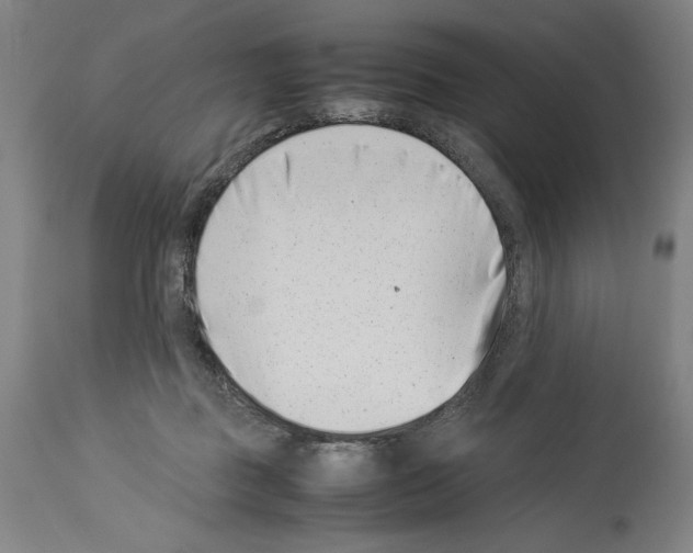 X0000113990363200911131123