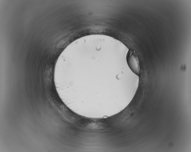 X0000113990364200911131123