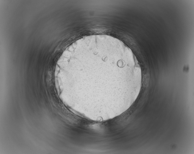 X0000113990365200911131123