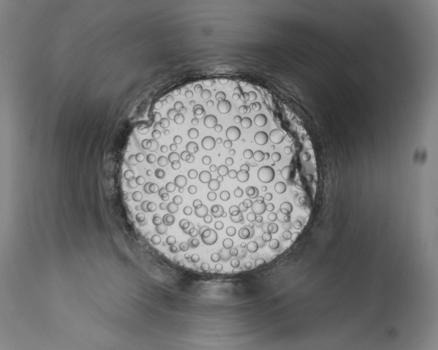 X0000113990366200911131123