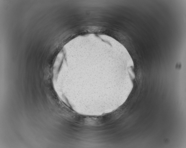 X0000113990367200911131123