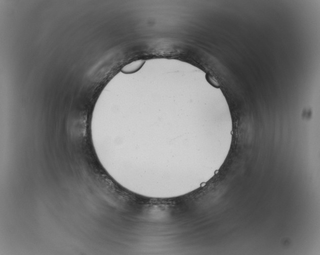 X0000113990368200911131123