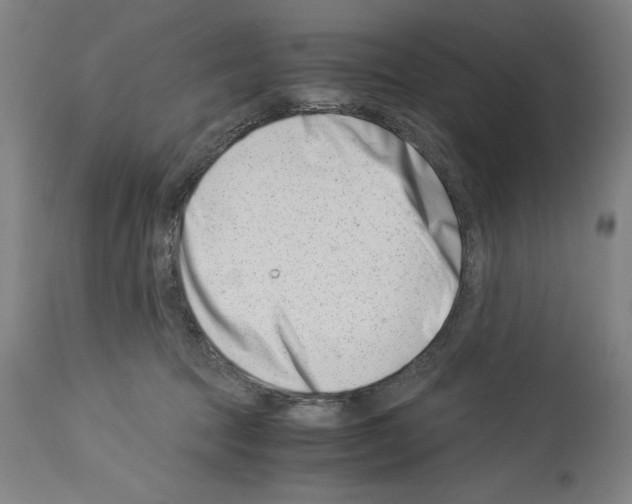 X0000113990369200911131123