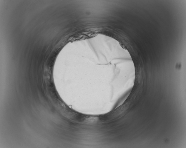 X0000113990374200911131123