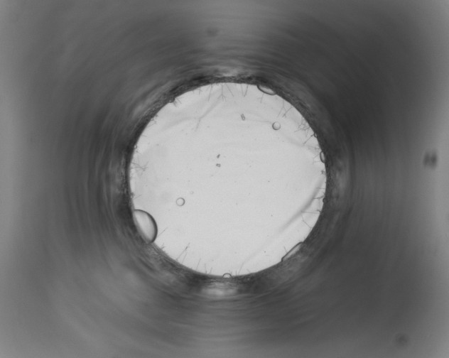 X0000113990376200911131123