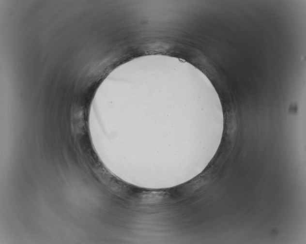 X0000113990378200911131123