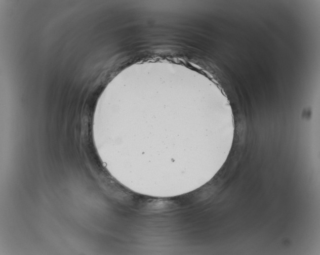 X0000113990379200911131123