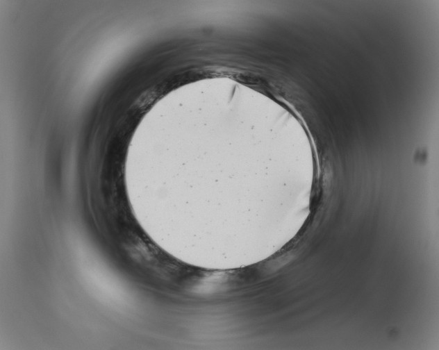 X0000113990382200911131123