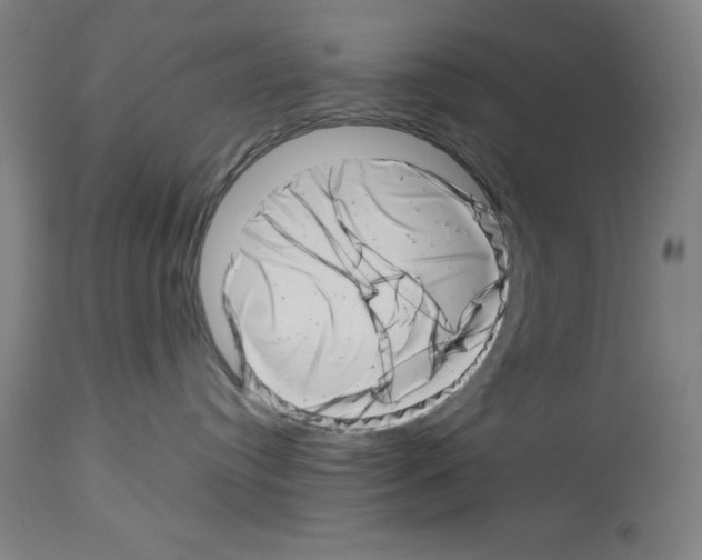 X0000113990384200911131123