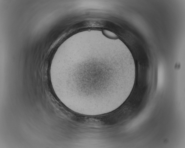 X0000113990387200911131123