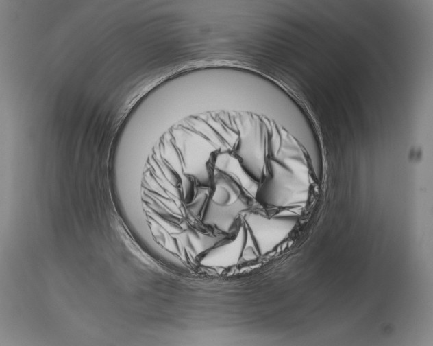 X0000113990389200911131123