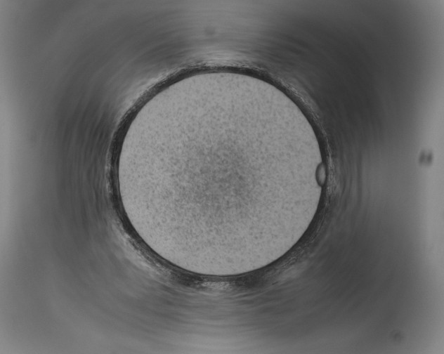 X0000113990391200911131122