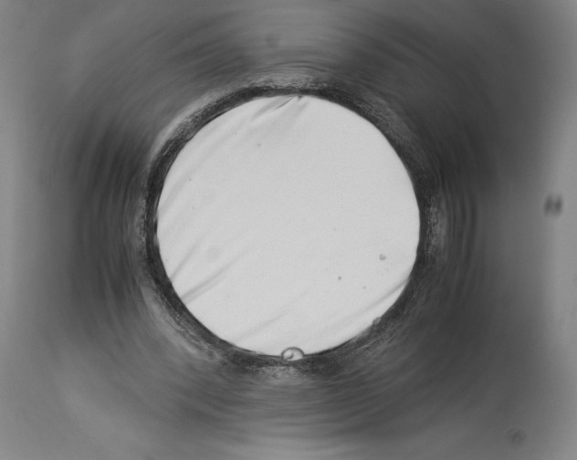 X0000113990392200911131122