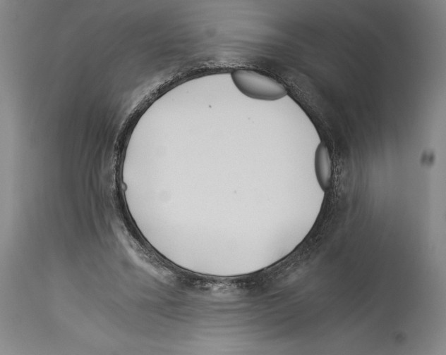 X0000113990395200911131122